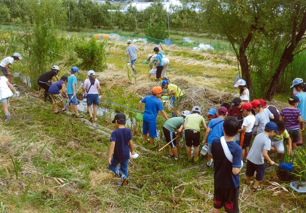 【共同募金助成】山形村の自然保護及び調査研究・自然体験活動（アクアの会・山形村）