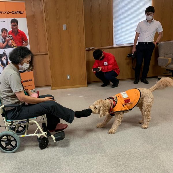 飼い主さんの靴や靴下を脱がし体温調節を行う介助犬のよし君